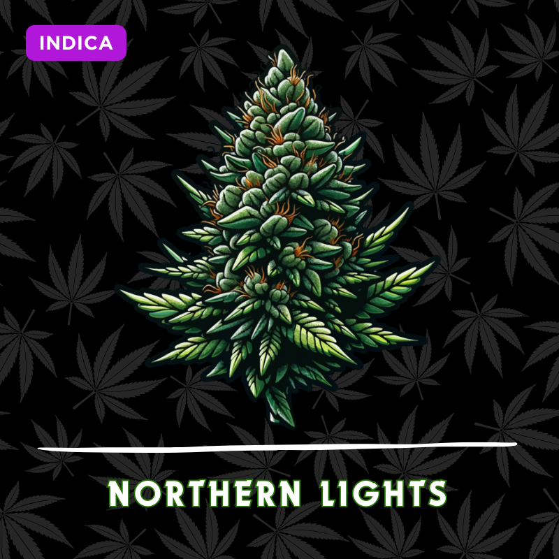 Northern Lights