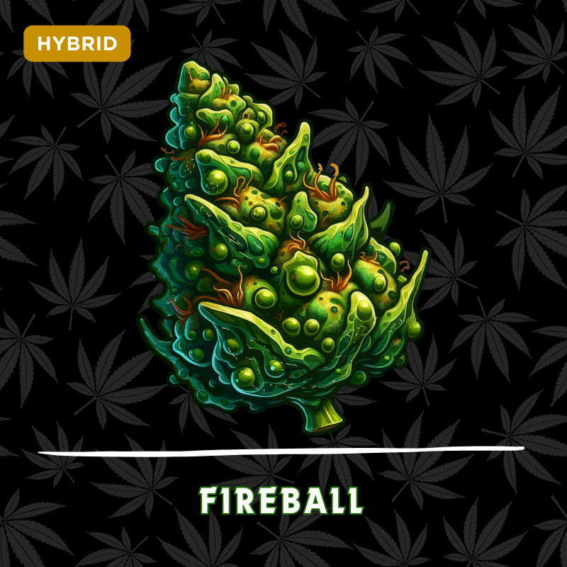 Fireball