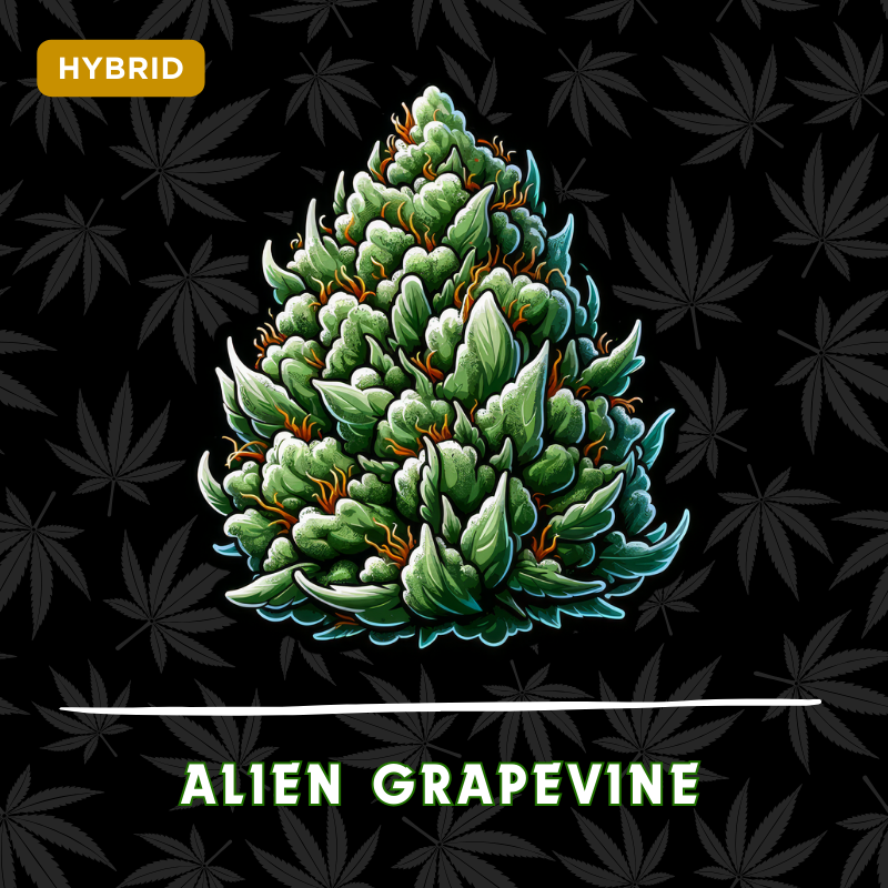 Alien Grapevine