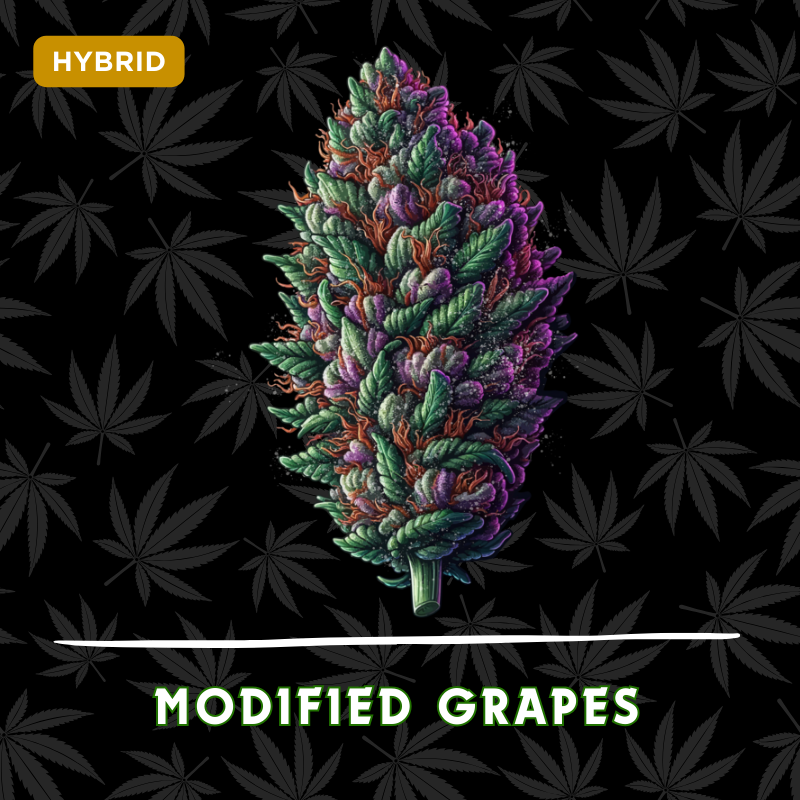Modified Grapes