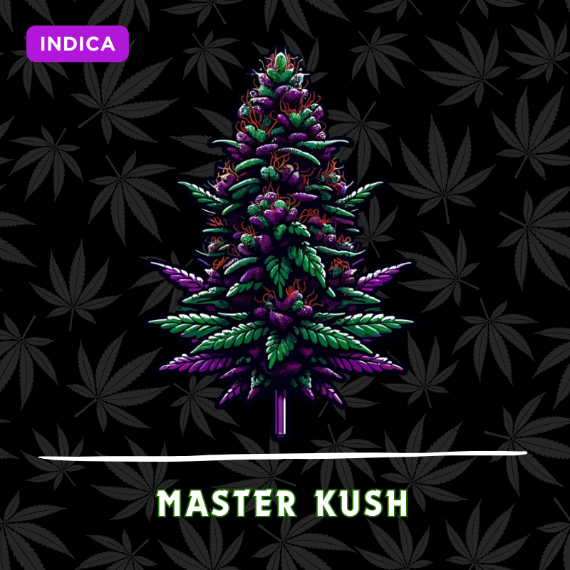 Master Kush