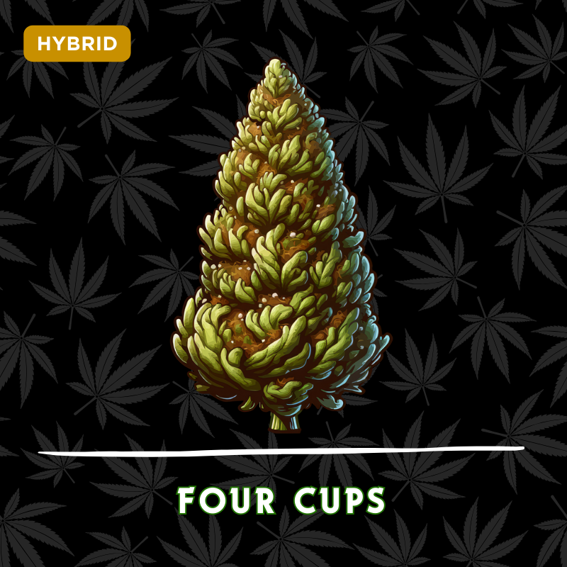 Four Cups