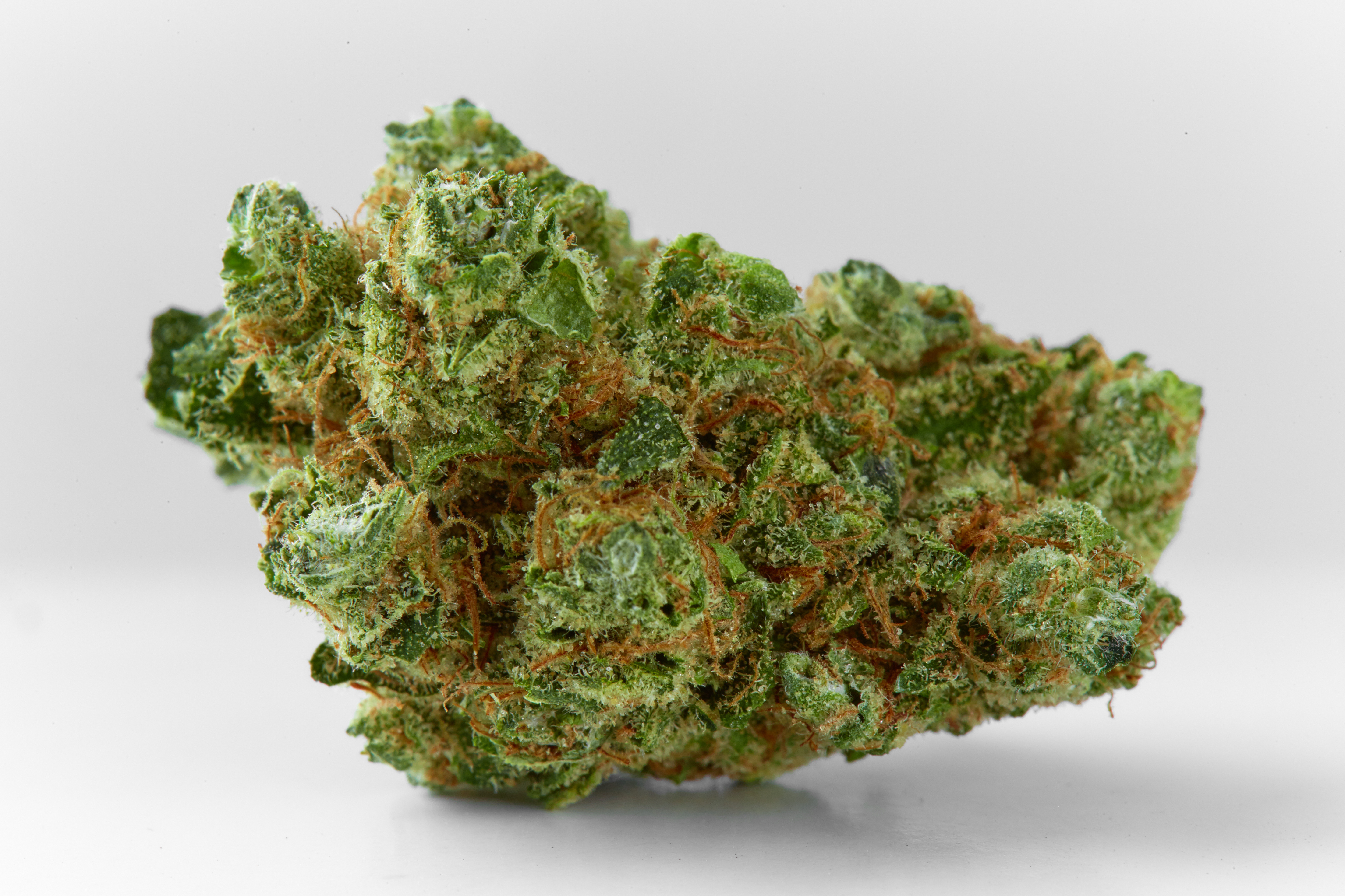 Banana Cookies Cannabis Strain (macro)