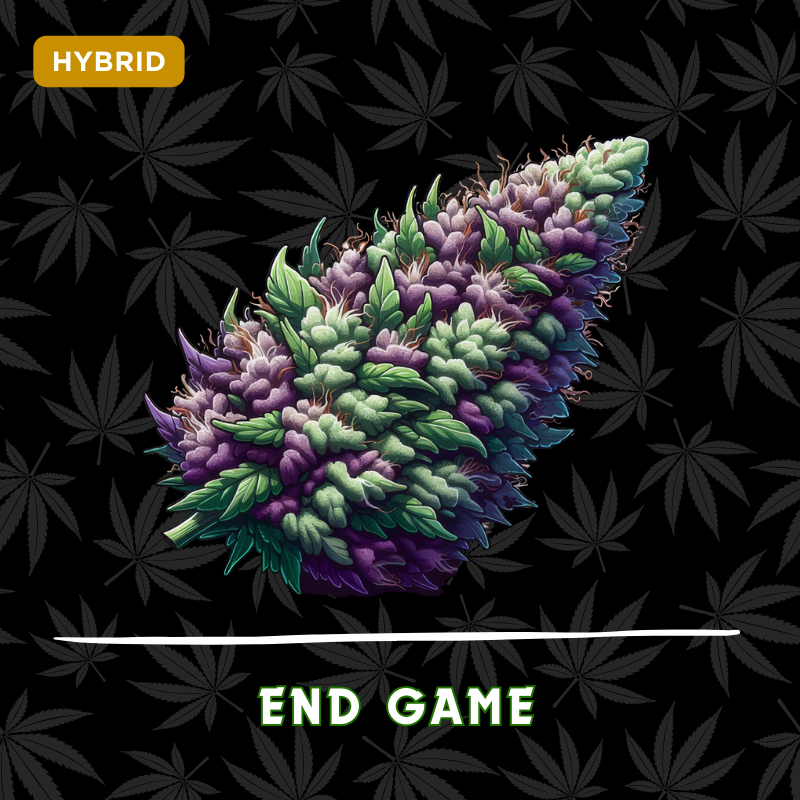 End Game