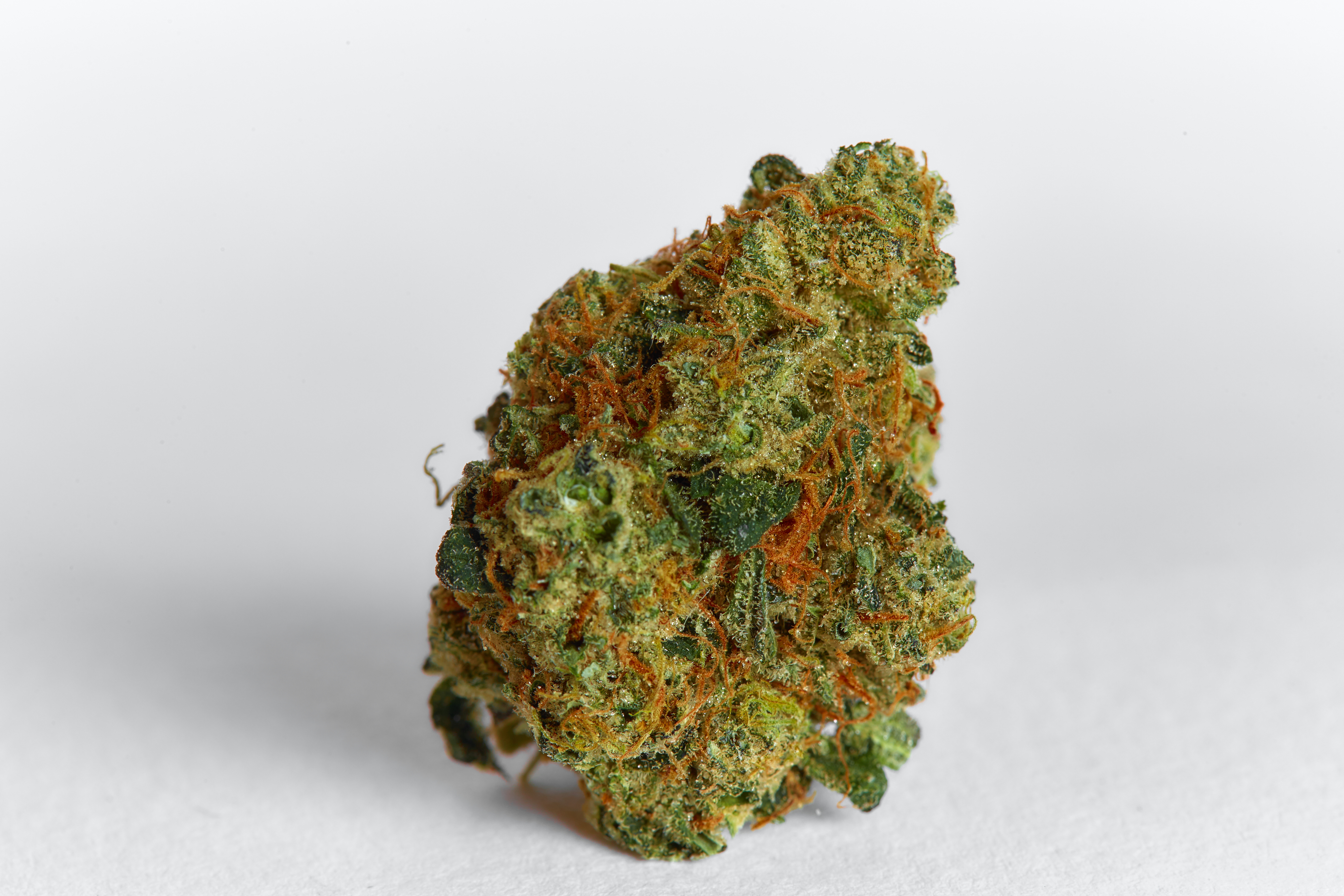 Strawberry Cough Cannabis Strain Bud (macro)