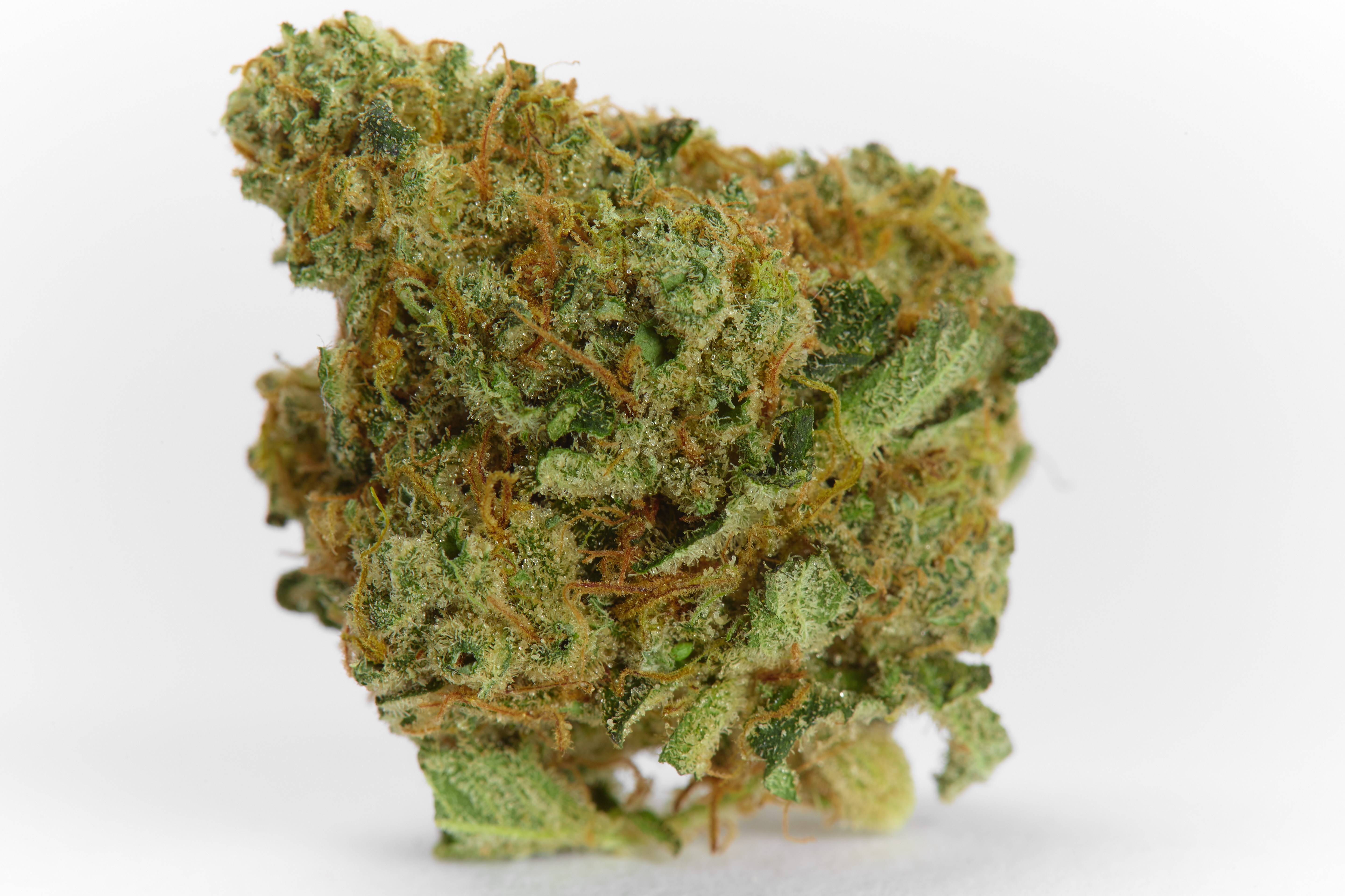 Snowcap Cannabis Strain Bud (macro)