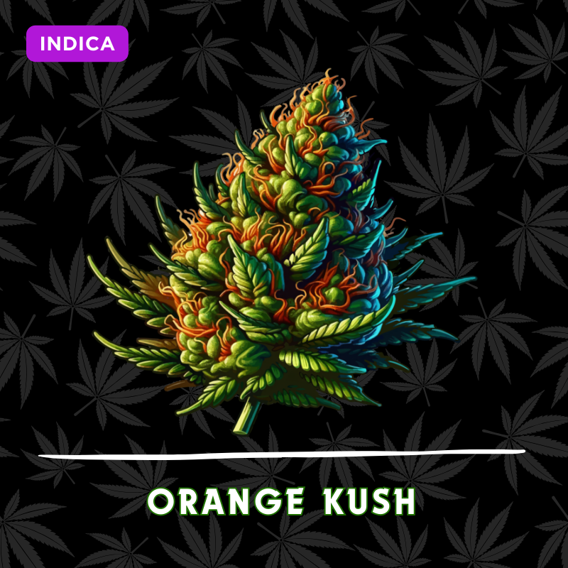 Orange Kush