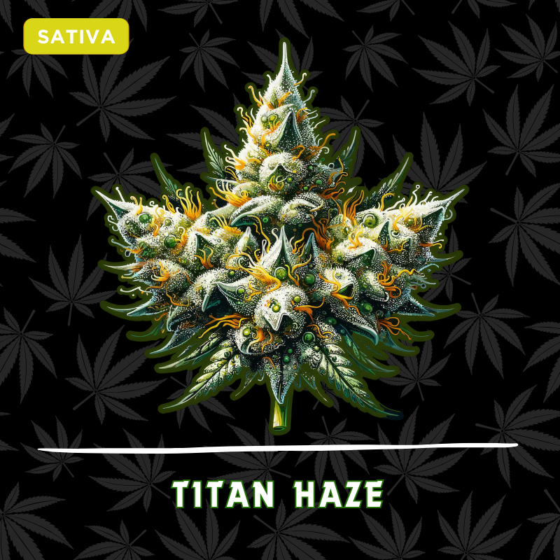 Titan Haze
