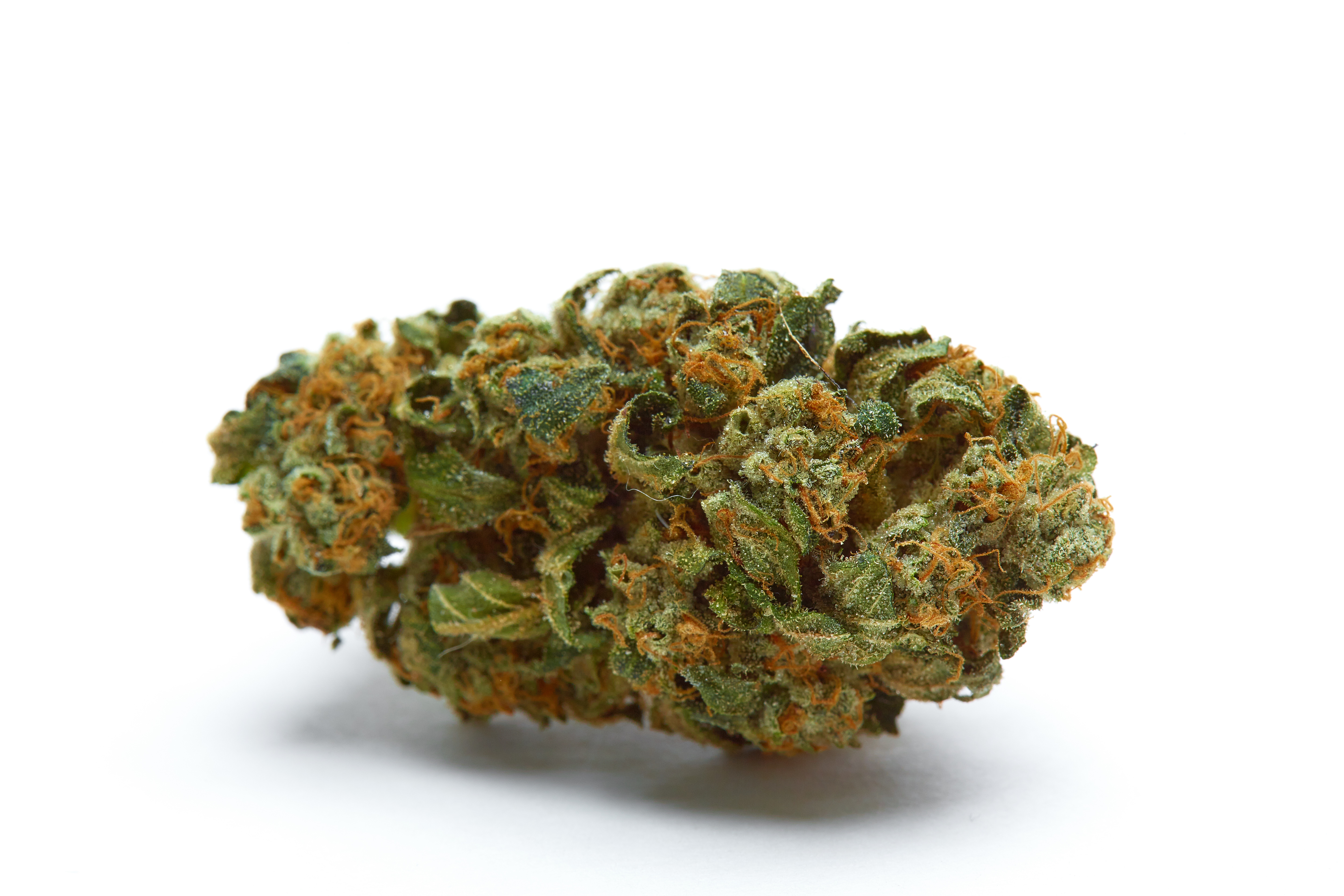 Kush OG Cannabis Strain Bud 2 (macro)