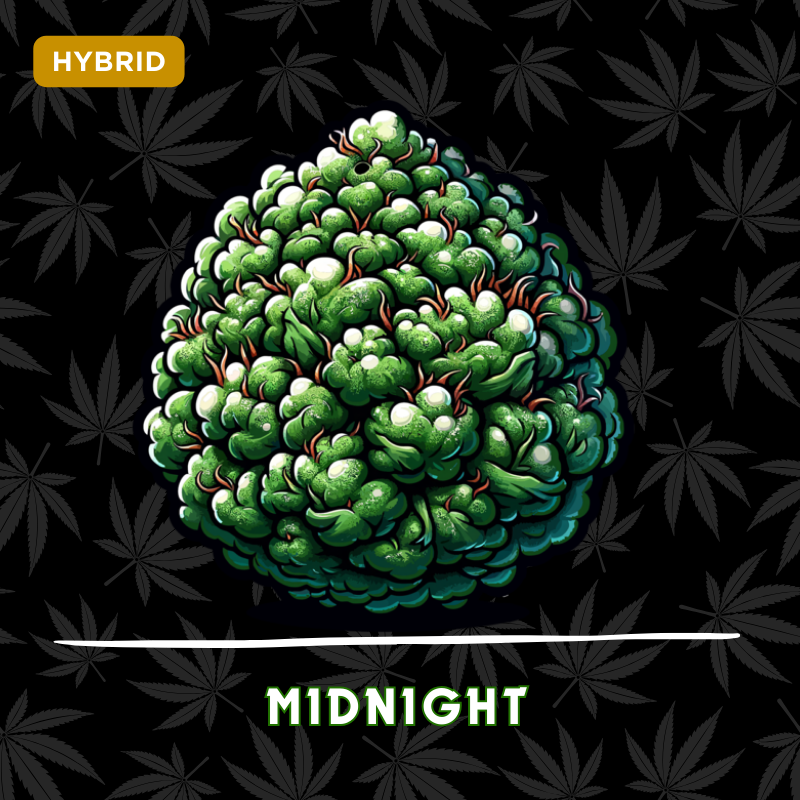 Midnight