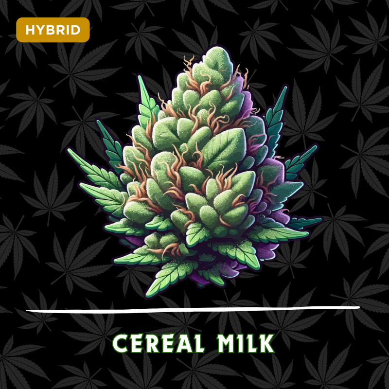 Cereal Milk