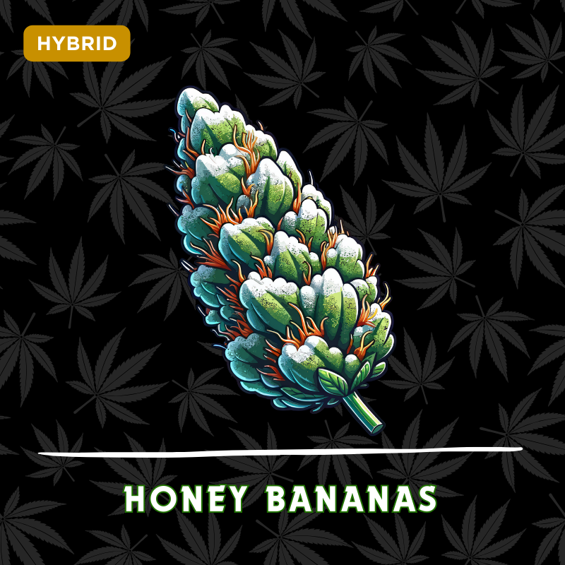 Honey Bananas