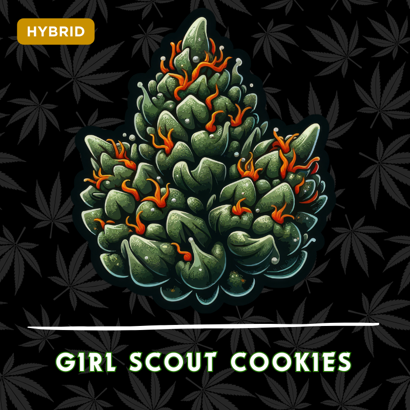 Girl Scout Cookies