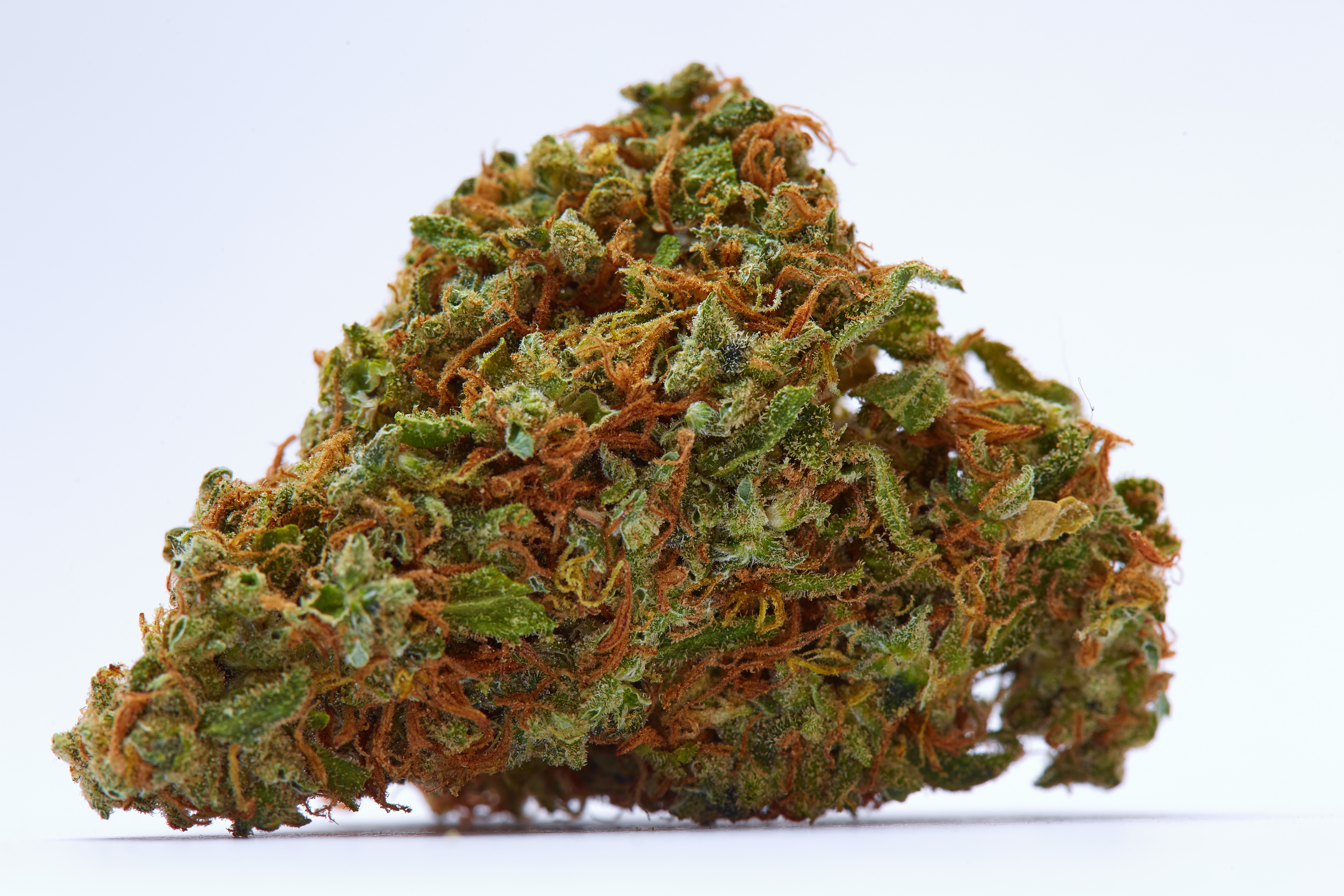 Supreme Jack Cannabis Strain Bud 2 (macro)