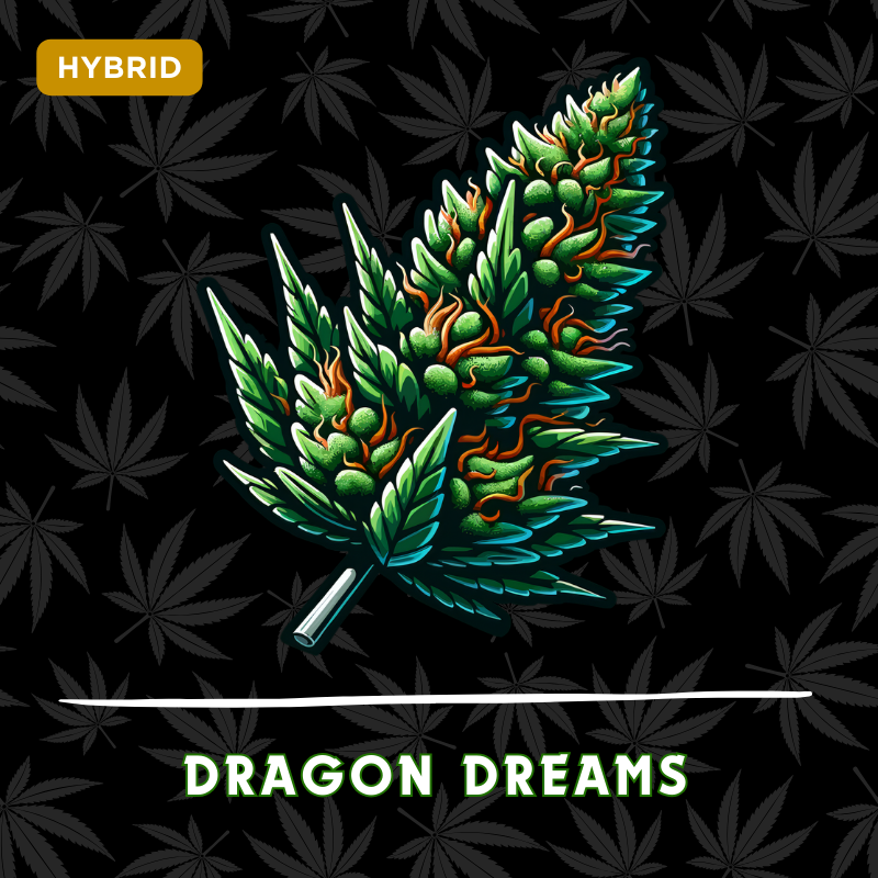 Dragon Dreams