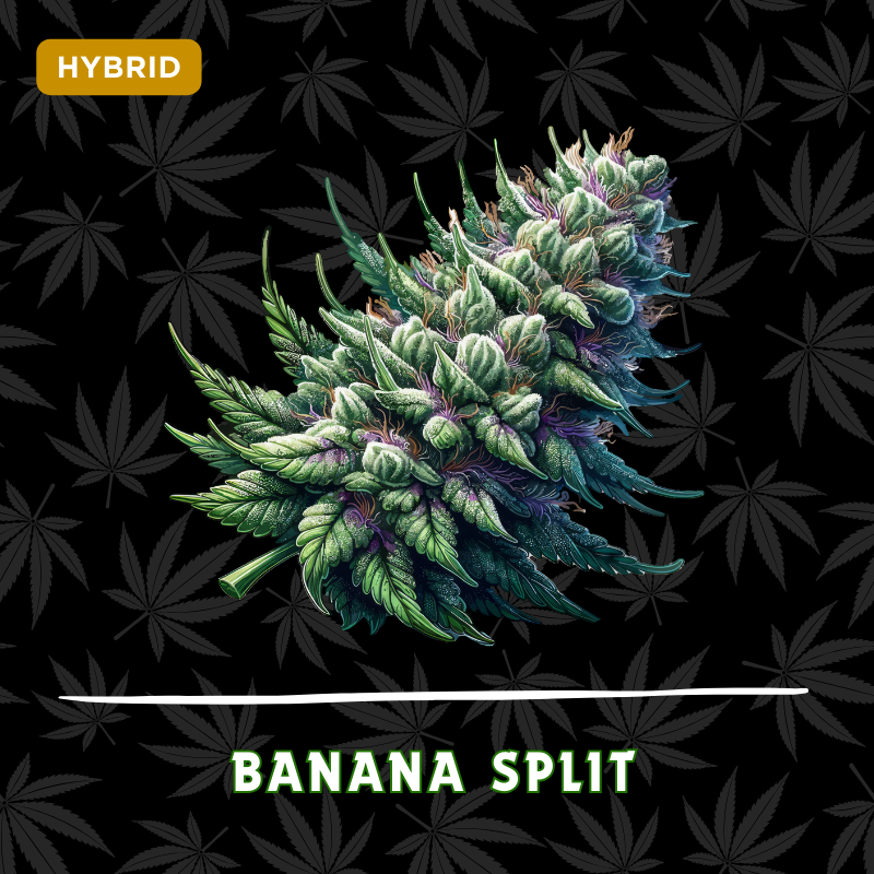 Banana Split