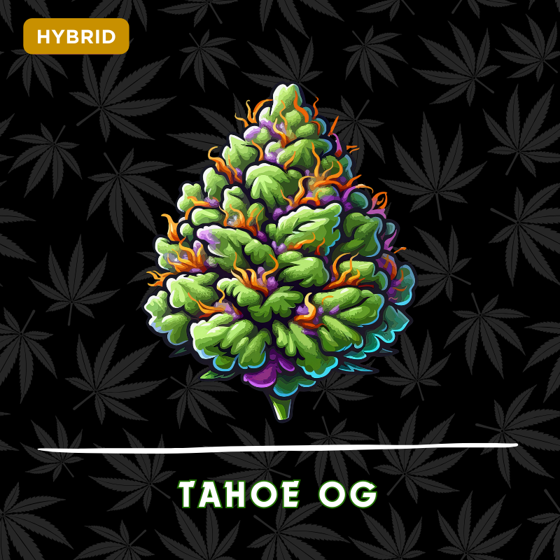 Tahoe OG