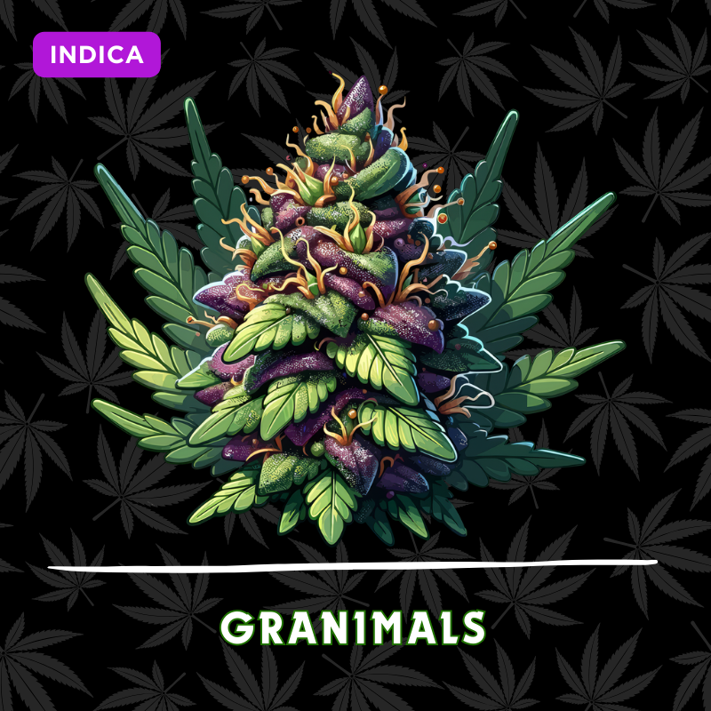 Granimals