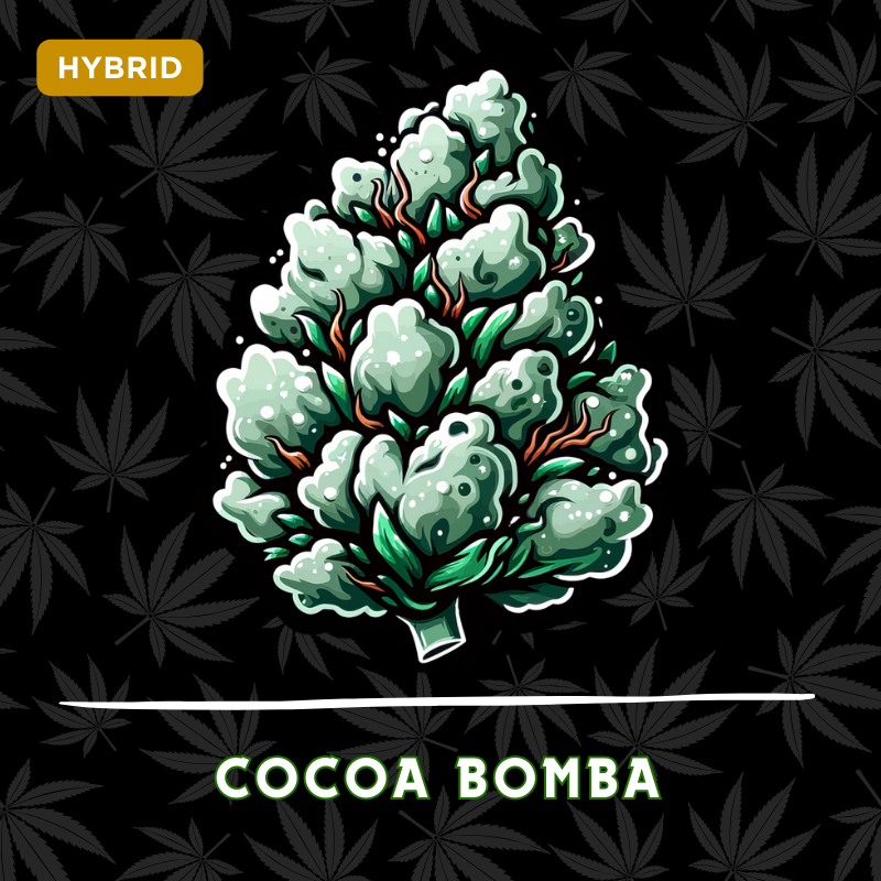 Cocoa Bomba