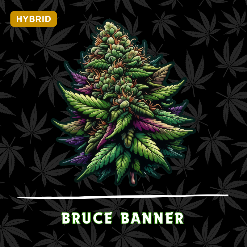 Bruce Banner