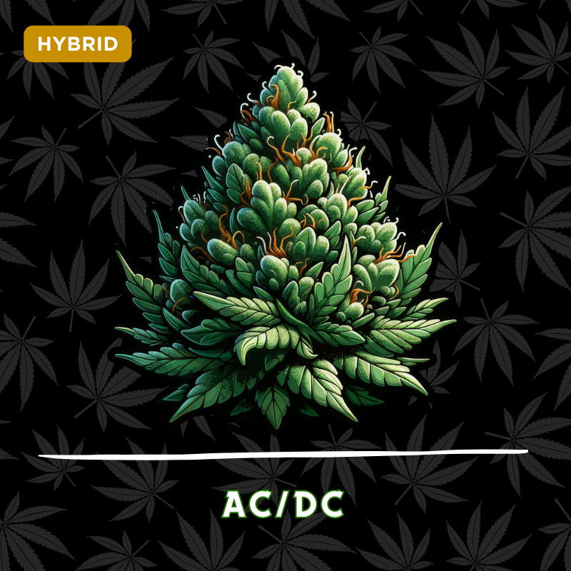 AC/DC