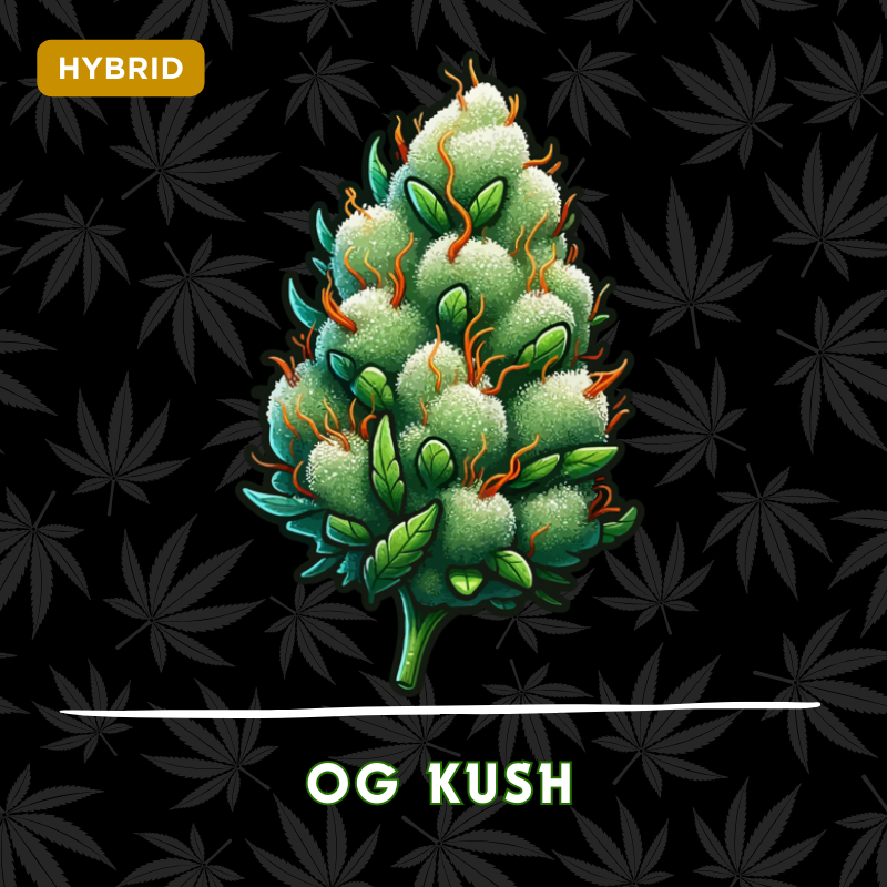 OG Kush