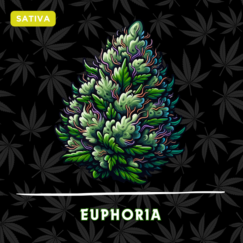 Euphoria