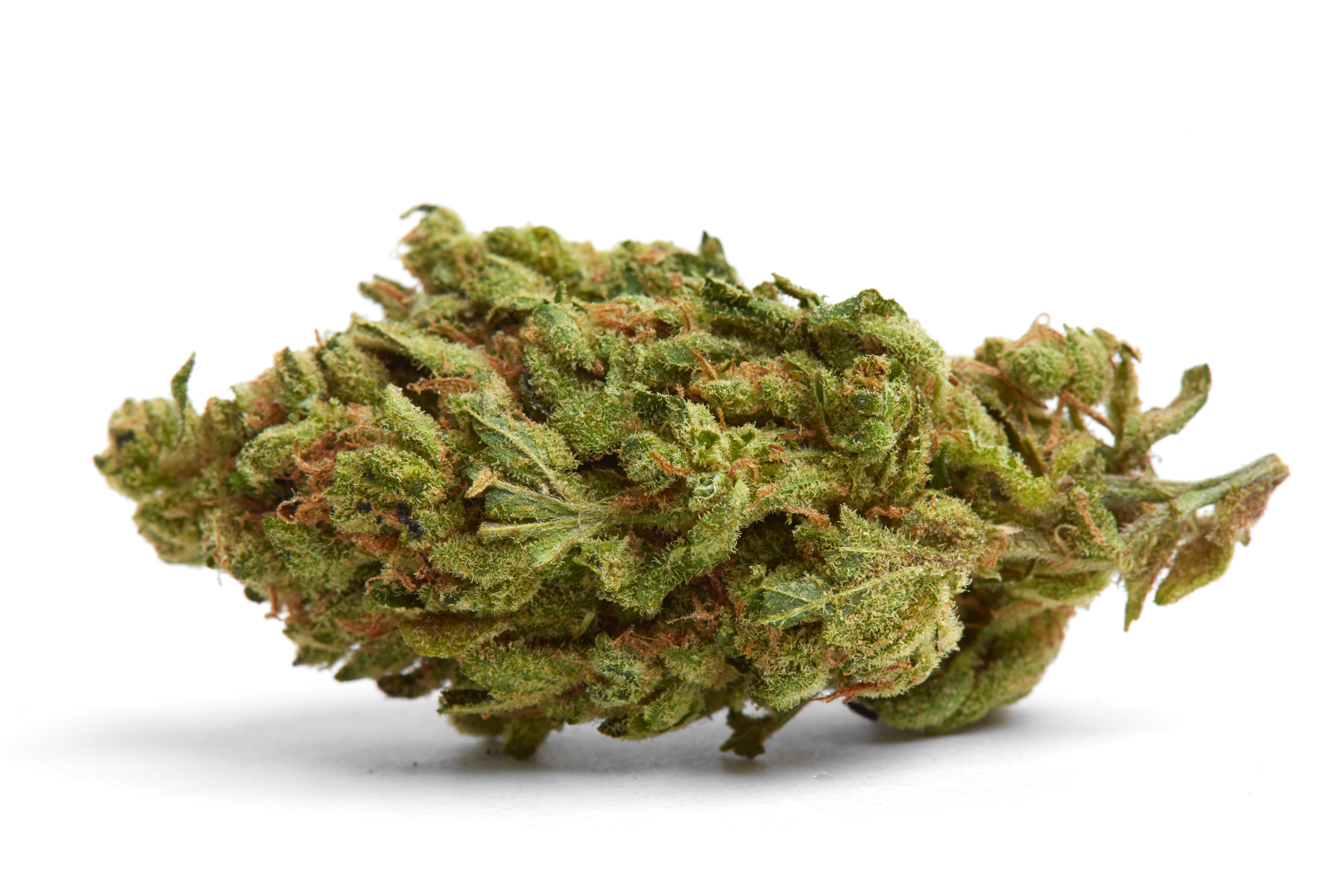 Death Wish Cannabis Strain Bud (macro)