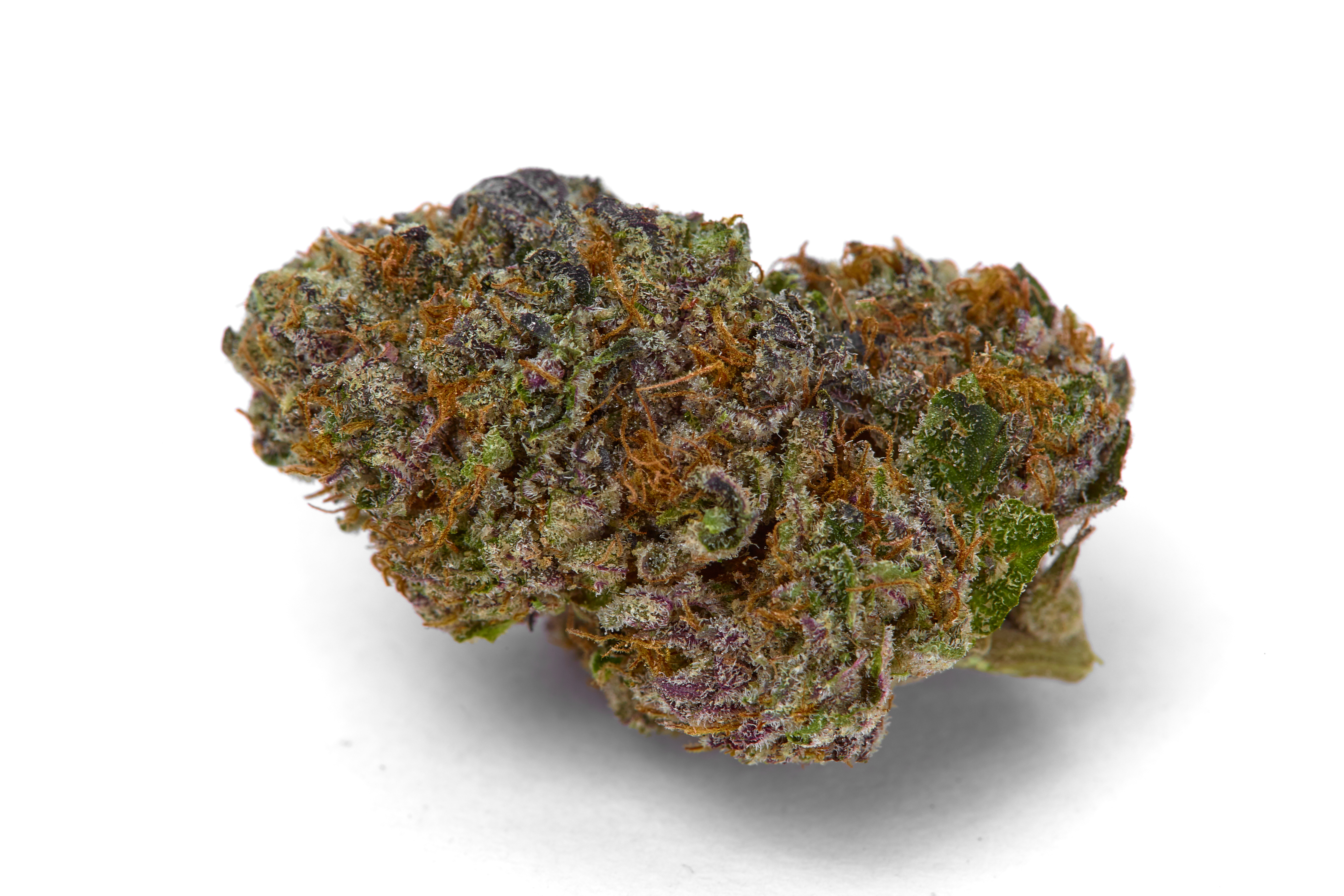Kush OG Cannabis Strain Bud (macro)