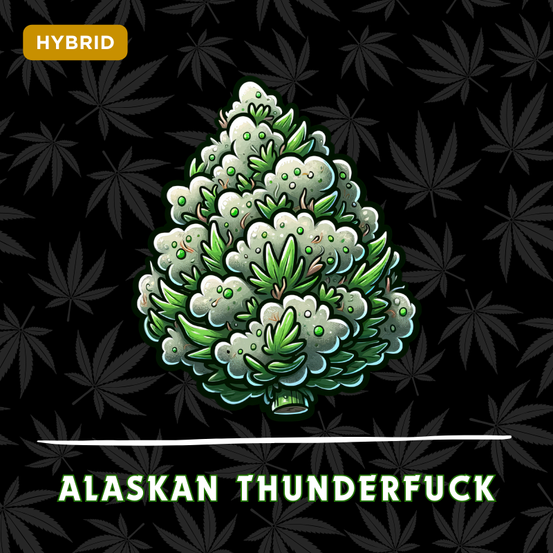 Alaskan Thunderfuck