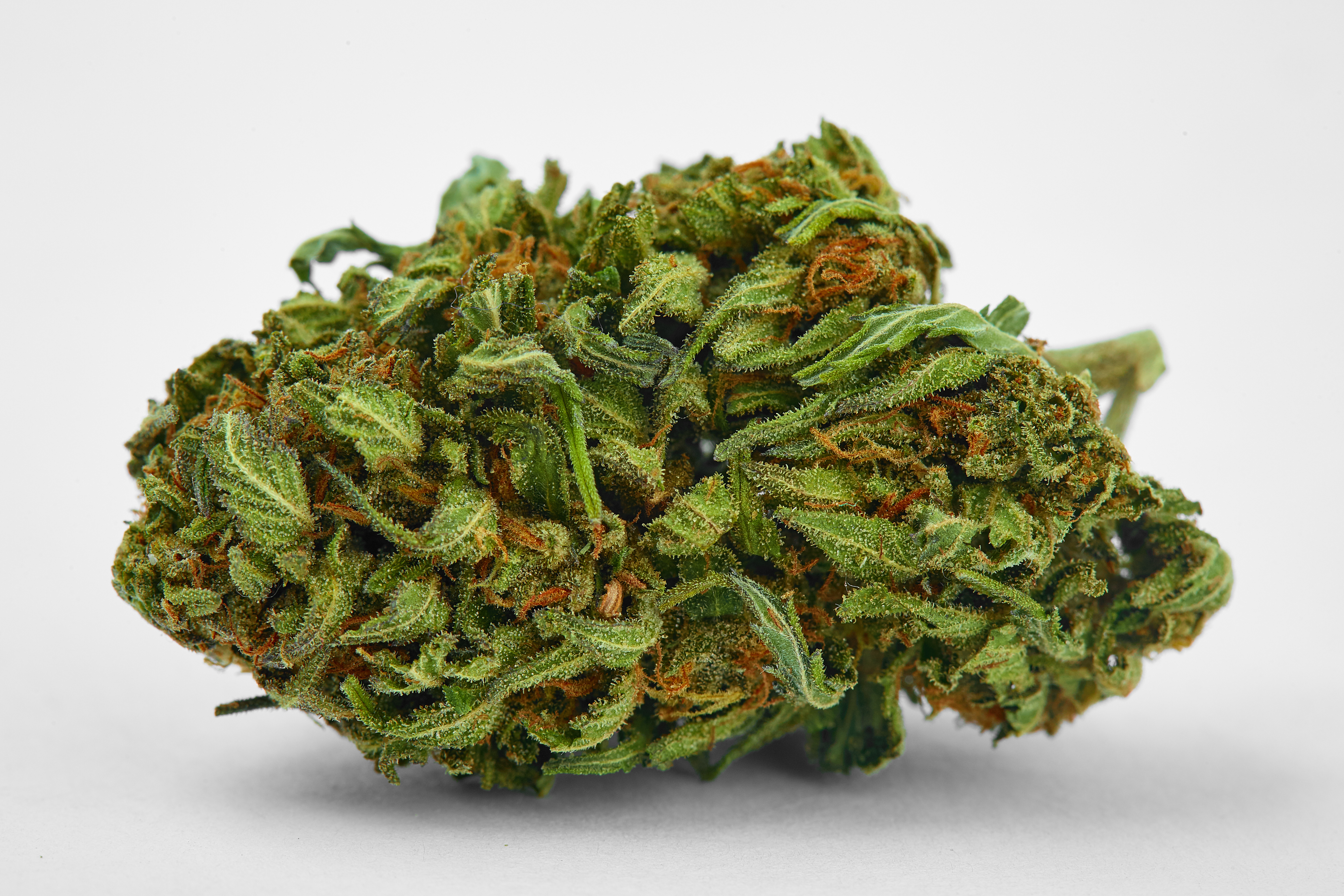 Cherry Pie Cannabis Strain Bud (macro)