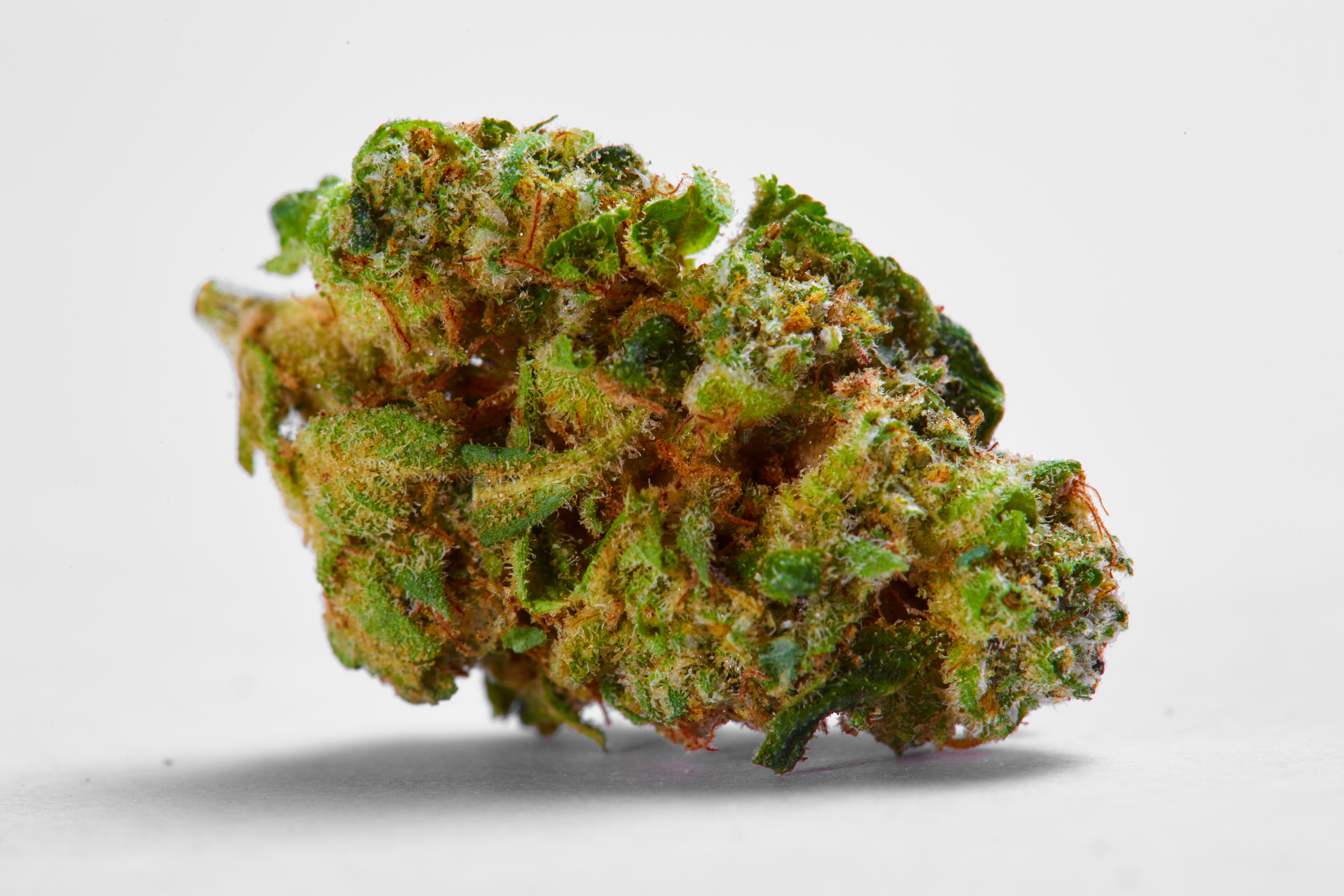Green Crack Cannabis Strain Bud (macro)