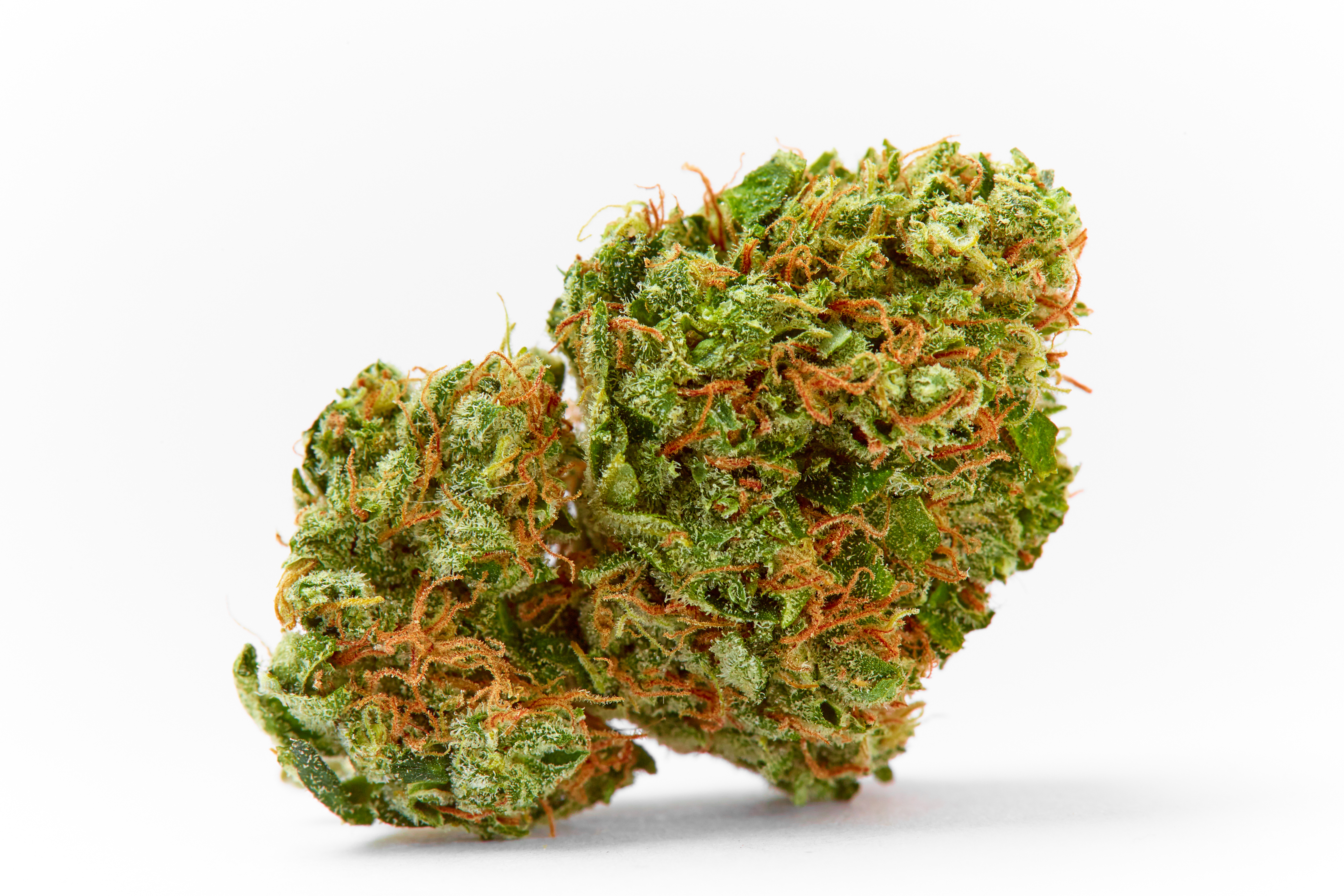 Ak-47 Cannabis Strain Bud (macro)