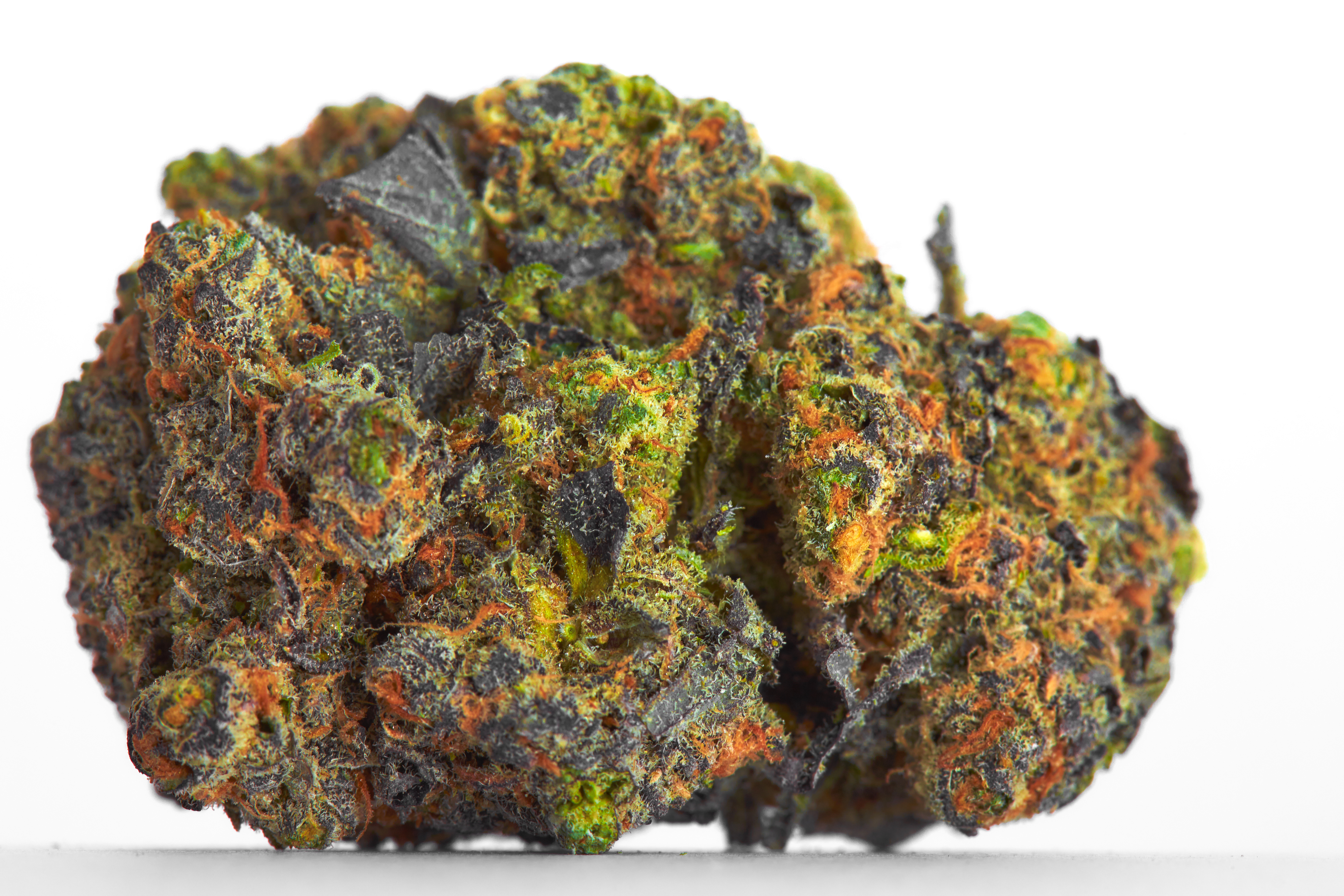 Gelato Cannabis Strain Bud 2 (macro)