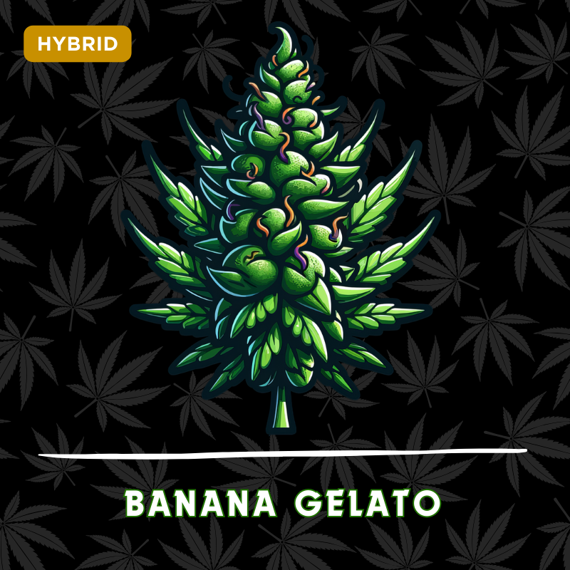 Banana Gelato