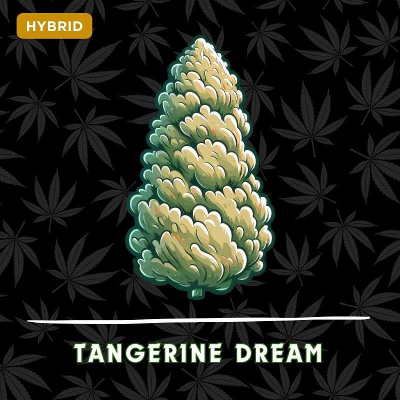 Tangerine Dream