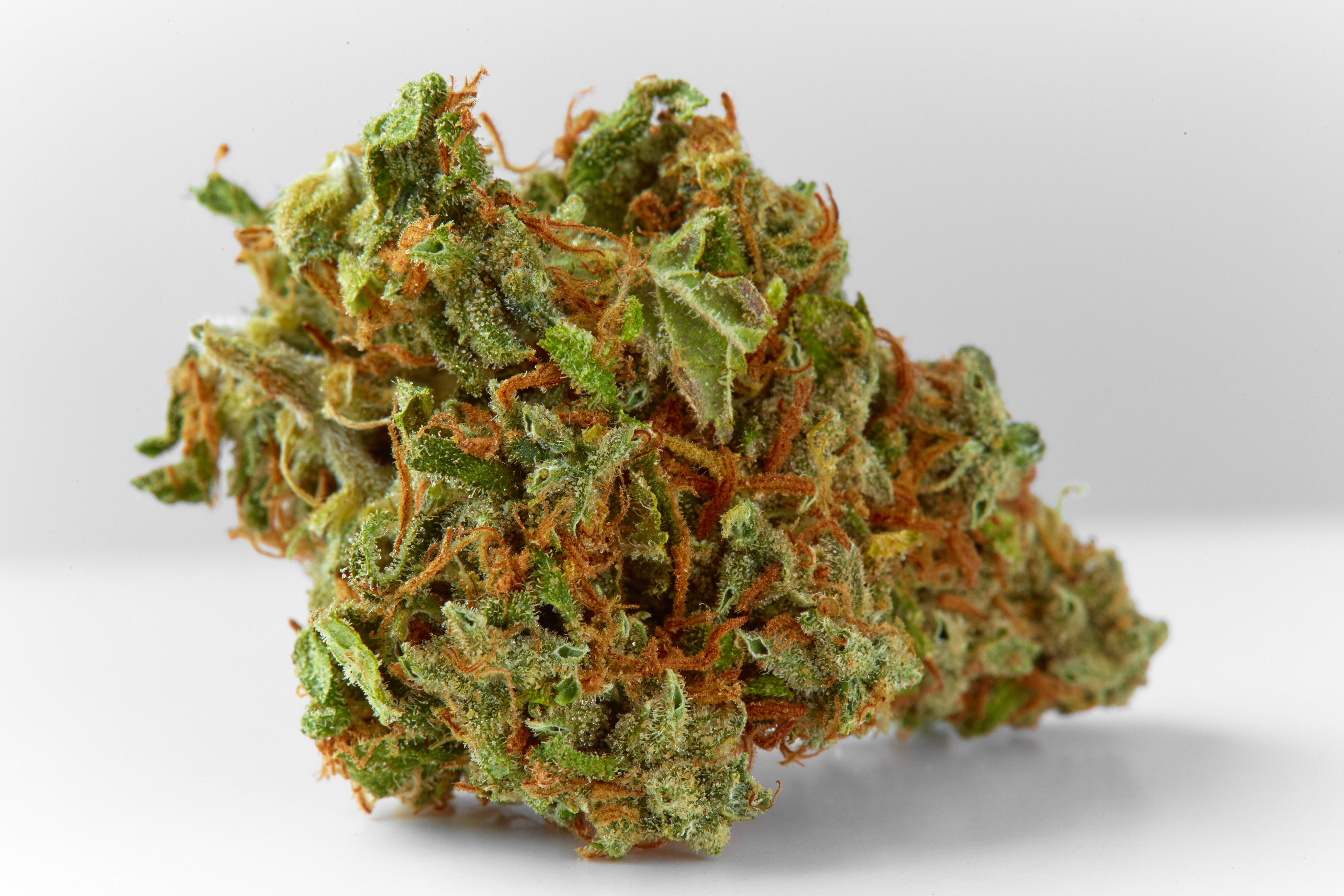 Supreme Jack Cannabis Strain Bud (macro)