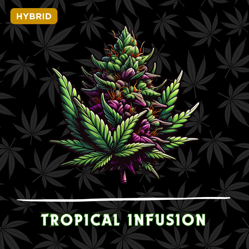 Tropical Infusion