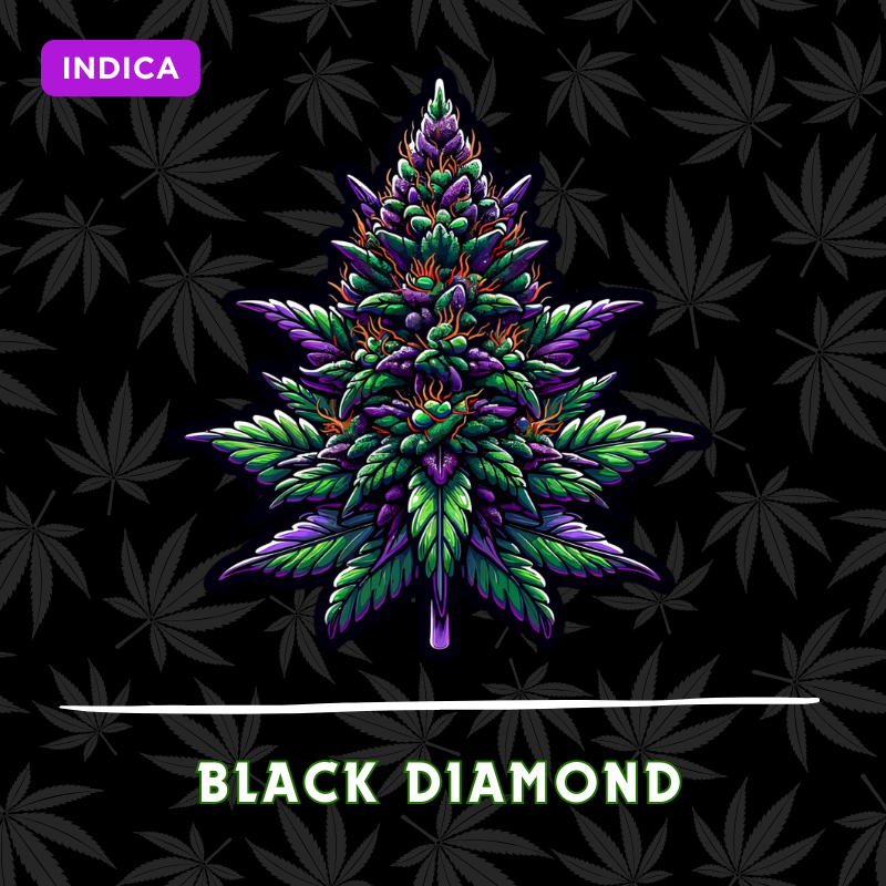 Black Diamond