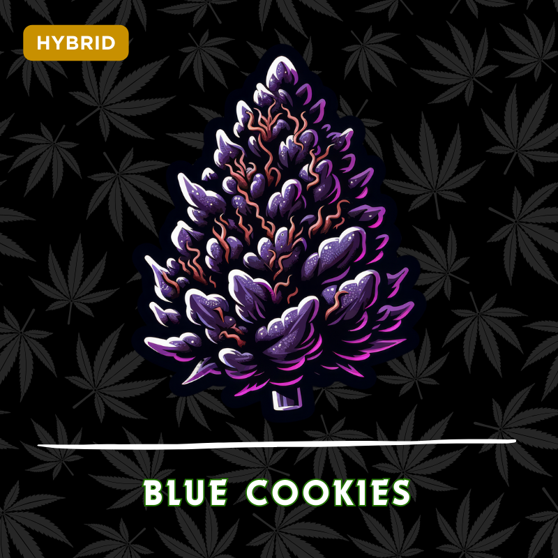 Blue Cookies
