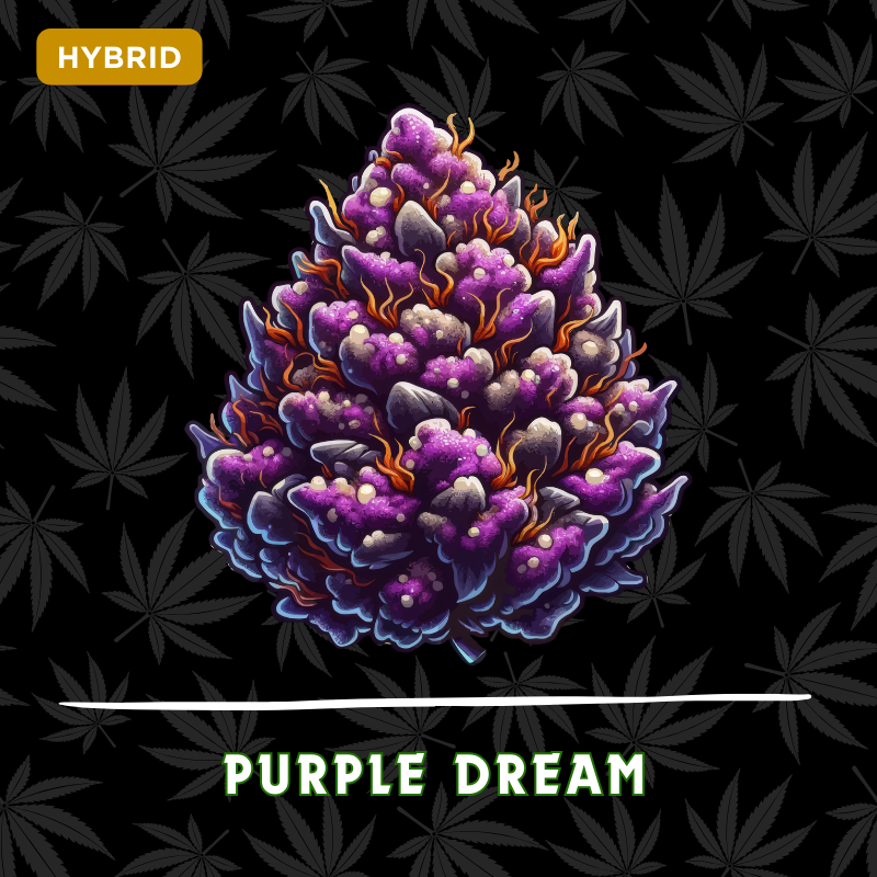 Purple Dream