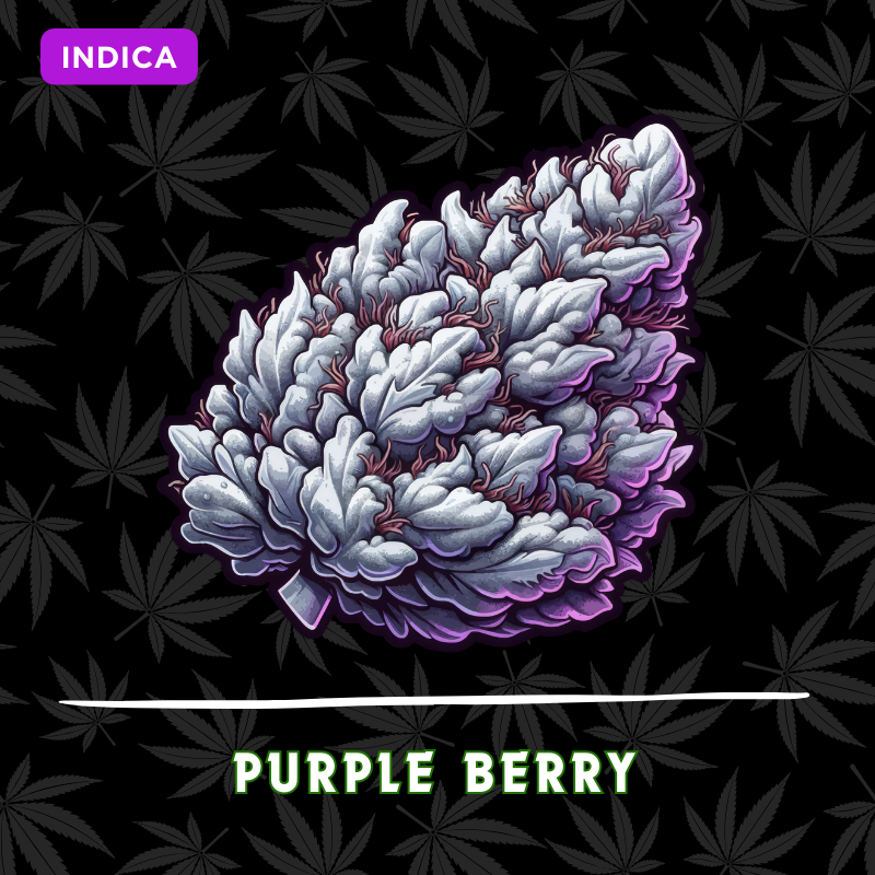 Purple Berry