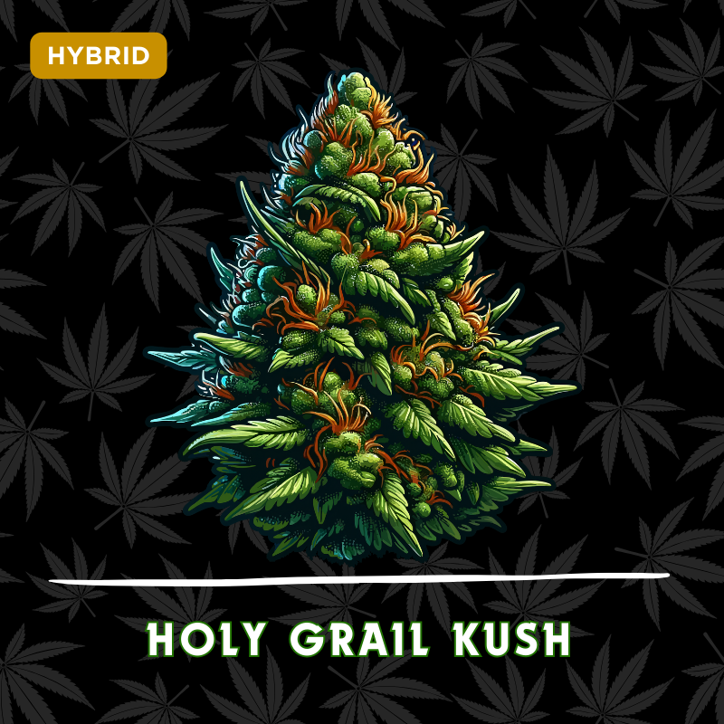 Holy Grail Kush