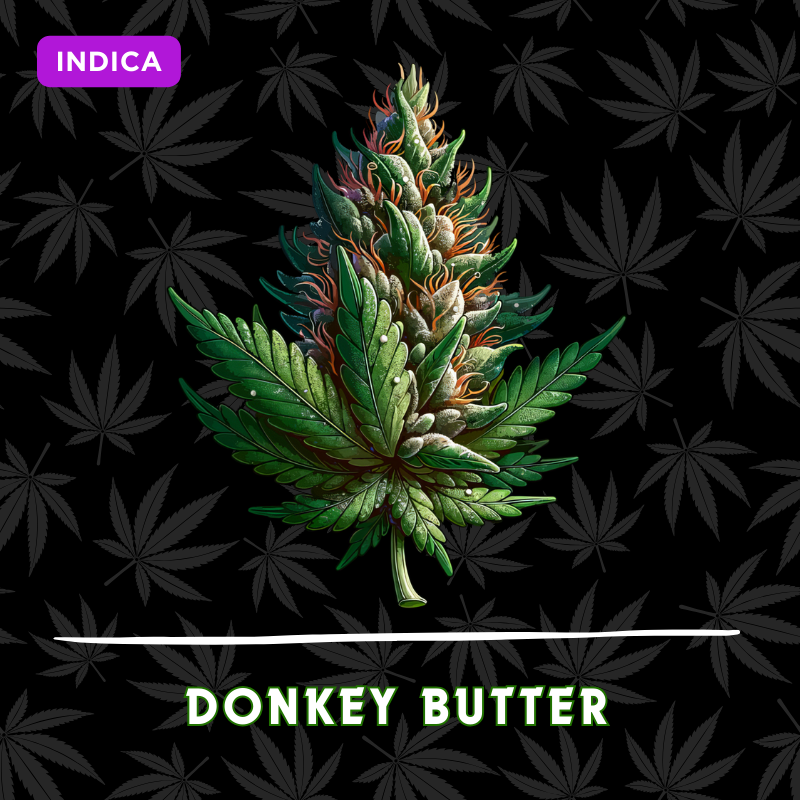 Donkey Butter