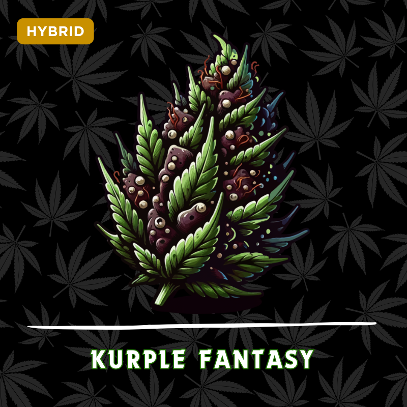 Kurple Fantasy