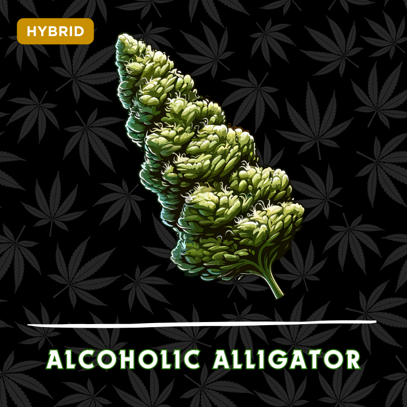 Alcoholic Alligator
