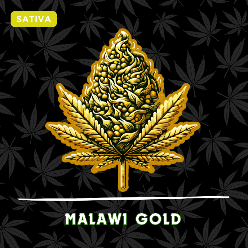 Malawi Gold