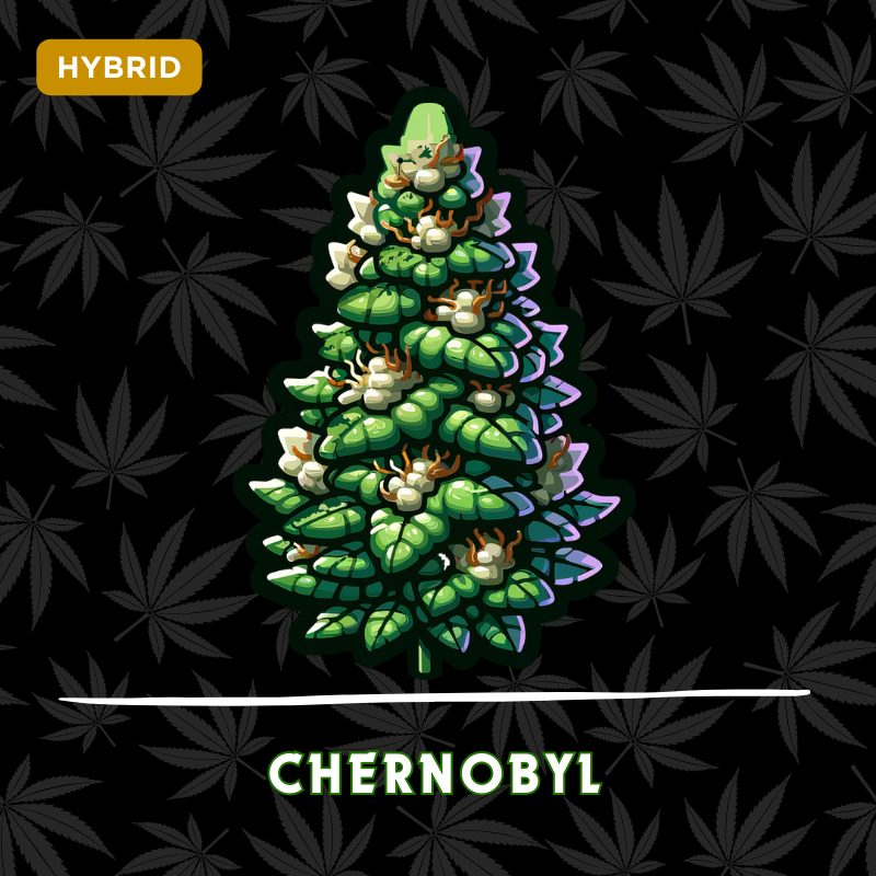 Chernobyl