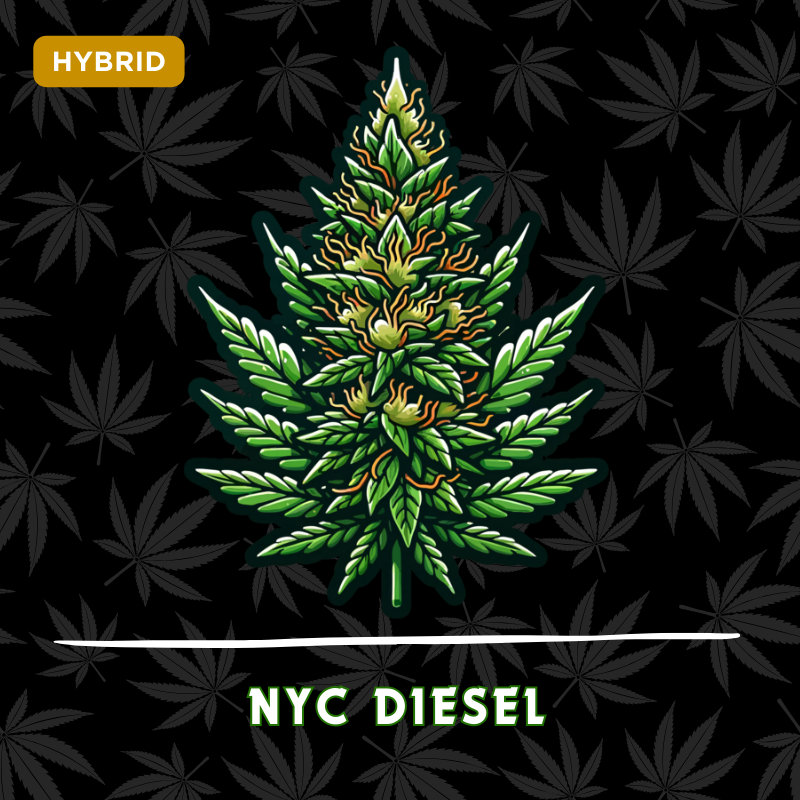NYC Diesel