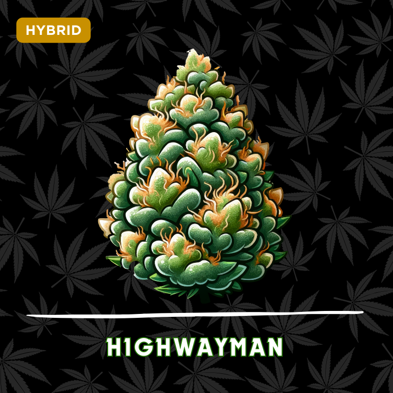 Highway Man